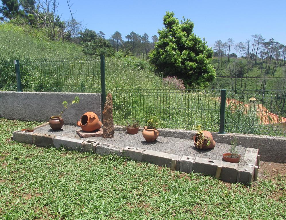Casa Formiga Villa Fajã da Ovelha Exteriör bild